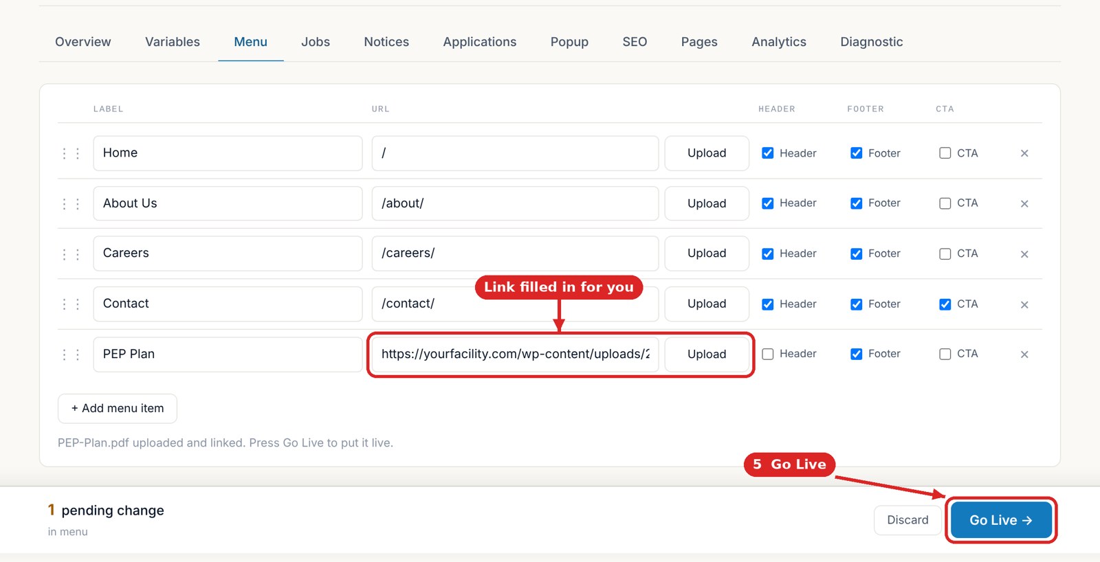 The link filled in, and the Go Live button